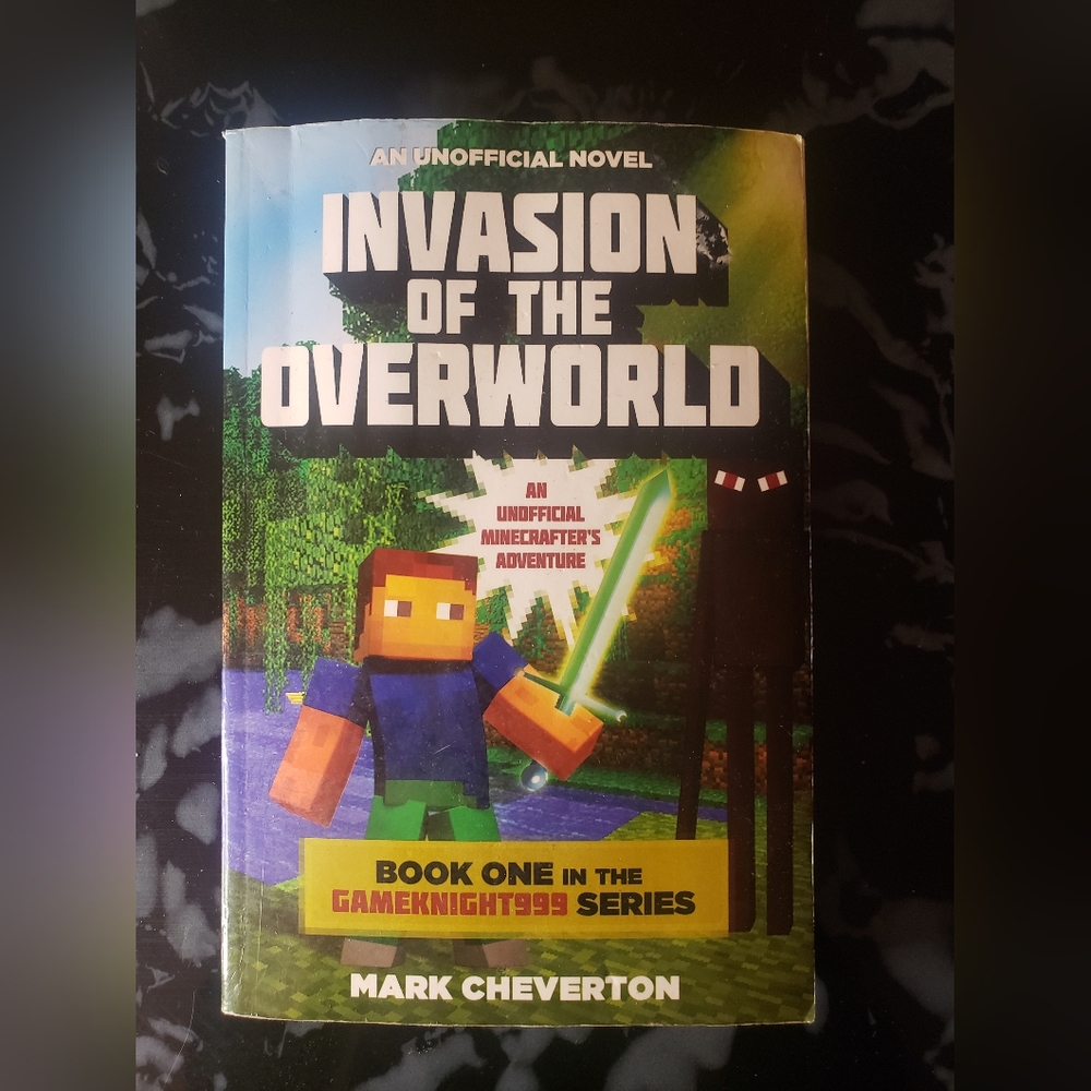 3 For 23$ Minecraft book